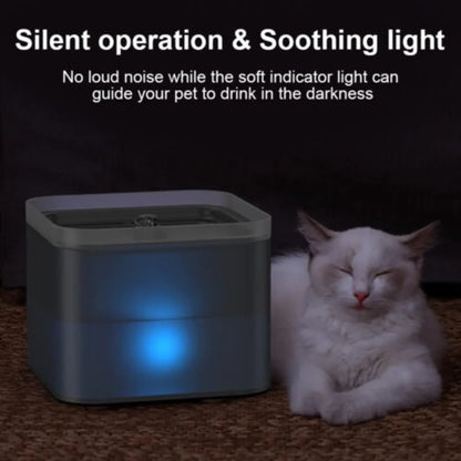 2L Cat Water Fountain | Pet Drinking Bowl with LED Light & Activated Carbon Filter