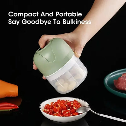 2025 250ML Electric Garlic Masher | Meat Mincer & Vegetable Chopper | Multi-Function Grinder | USB Rechargeable