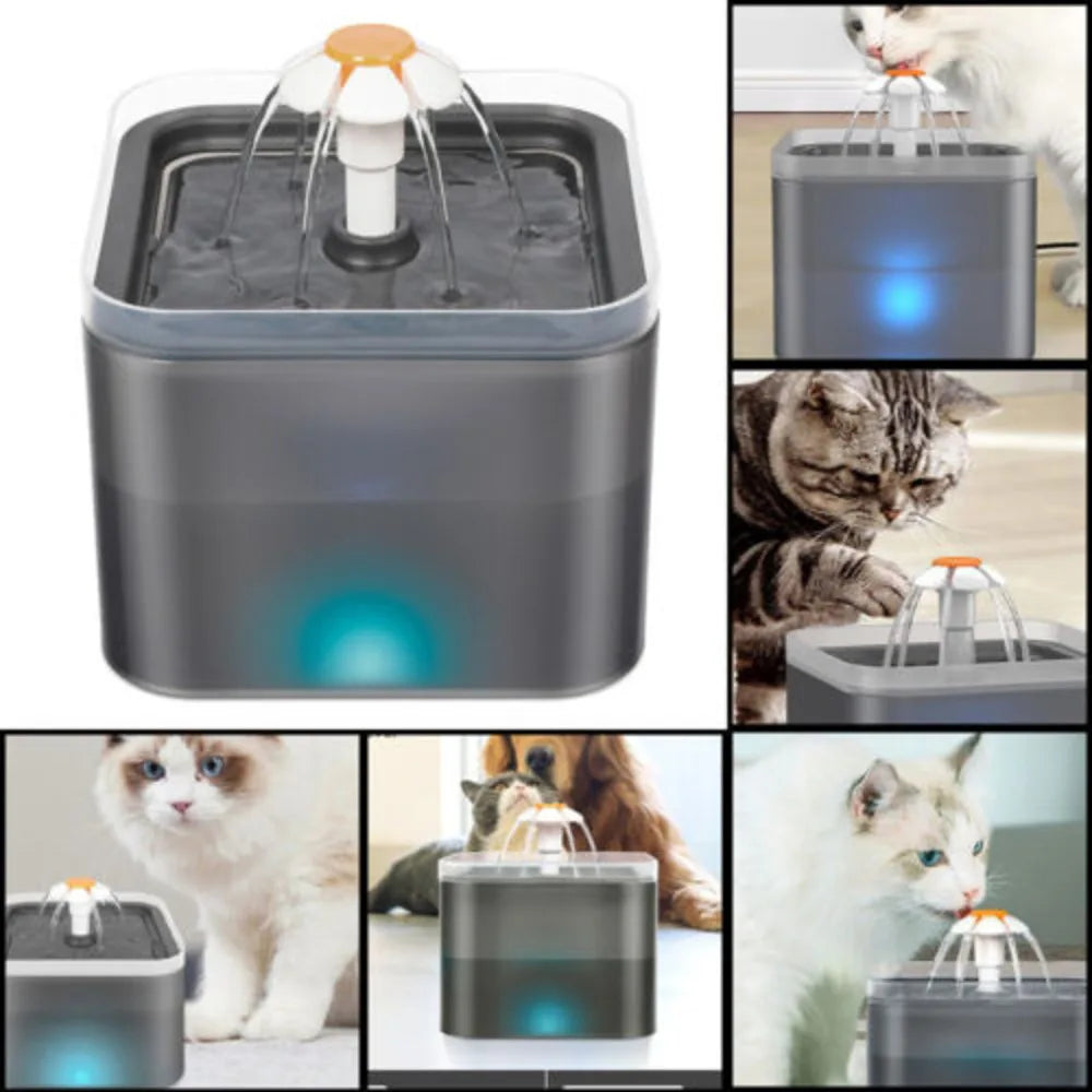 2L Cat Water Fountain | Pet Drinking Bowl with LED Light & Activated Carbon Filter