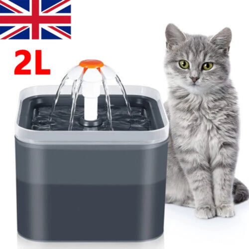 2L Cat Water Fountain | Pet Drinking Bowl with LED Light & Activated Carbon Filter