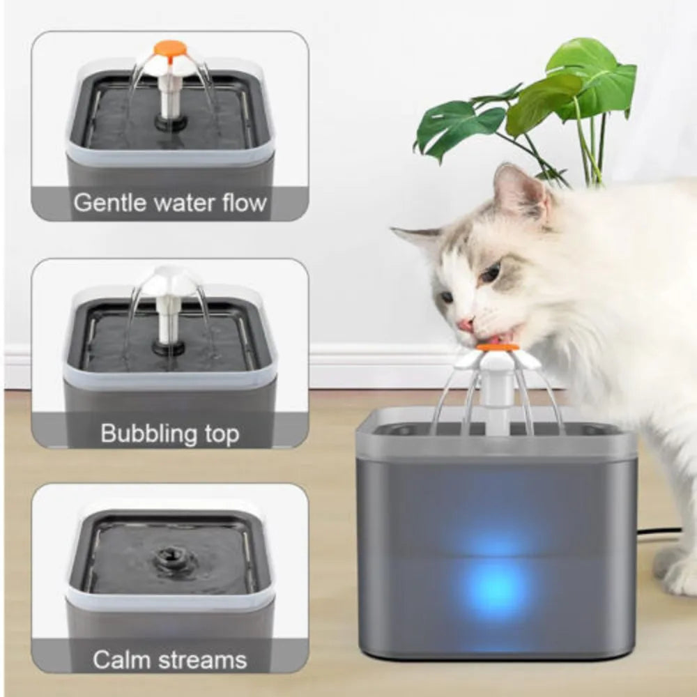 2L Cat Water Fountain | Pet Drinking Bowl with LED Light & Activated Carbon Filter